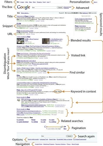 anatomy of the serp